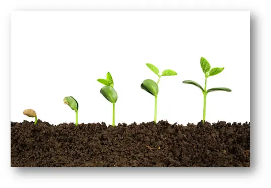 Data Management LifeCycle