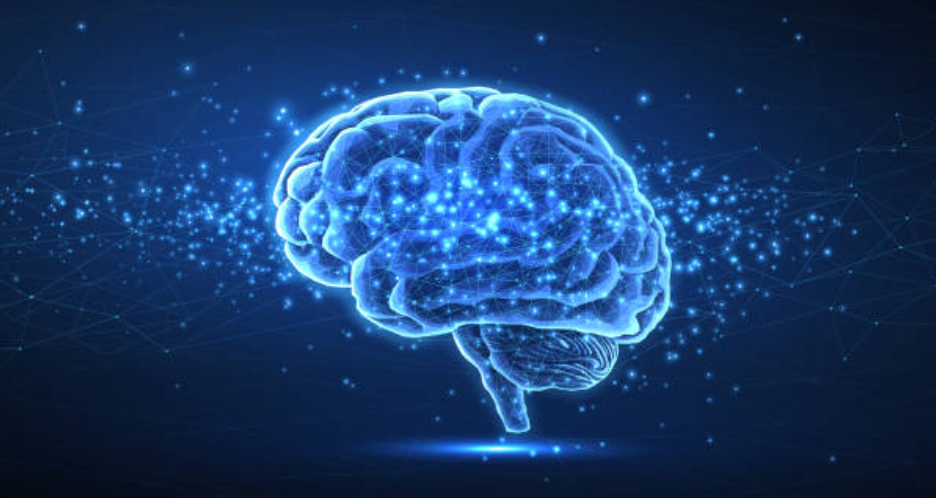 AI Training for Life Sciences Teams