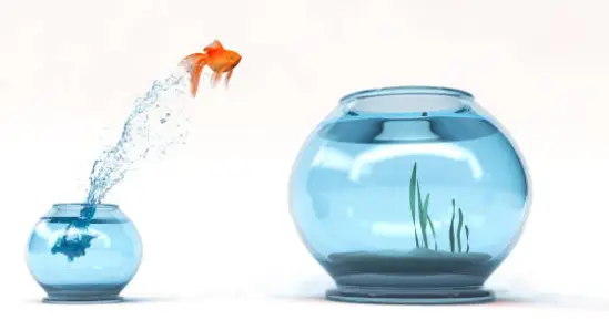 Computer Software Assurance